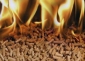 123404sunflower-pellets.jpg