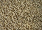 2241071167763135_big.jpg